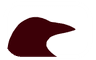 EduRaven Logo